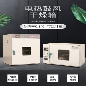 300℃電熱恒溫鼓風幹燥箱